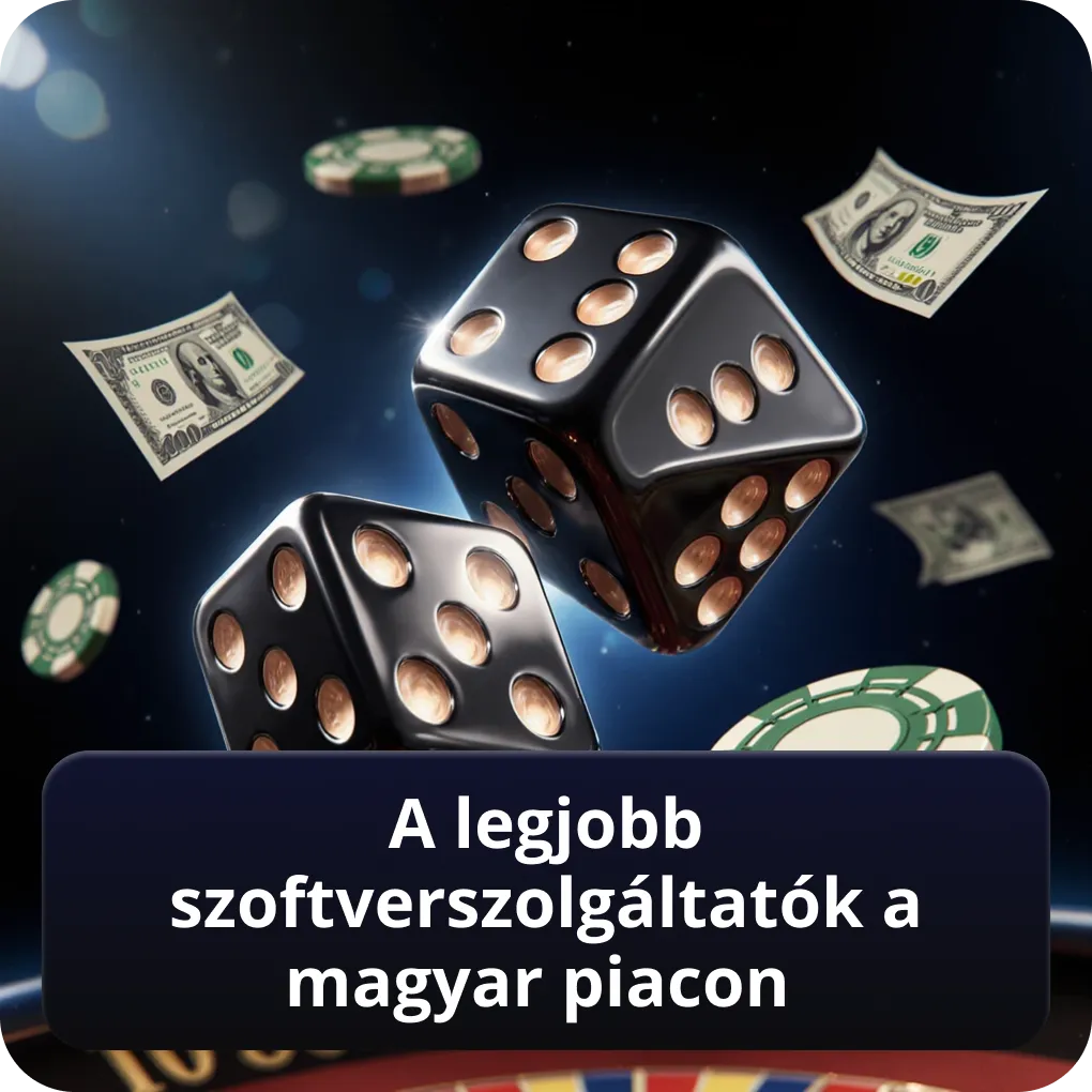 A legjobb szoftverszolgáltatók a magyar piacon